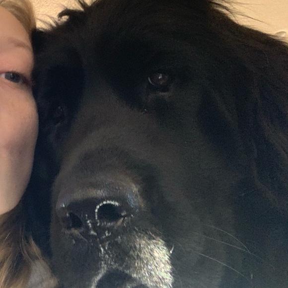 Meet your Posher, Caylin - Picture 1 of 1